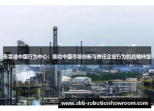 布雷迪中国行为中心：推动中国市场创新与责任企业行为的战略转型