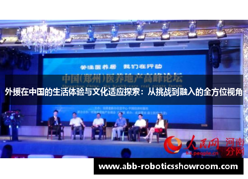 外援在中国的生活体验与文化适应探索：从挑战到融入的全方位视角