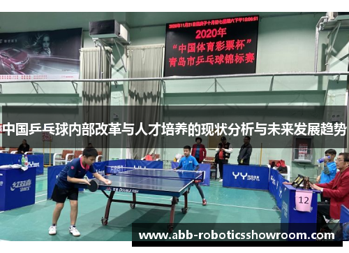 中国乒乓球内部改革与人才培养的现状分析与未来发展趋势