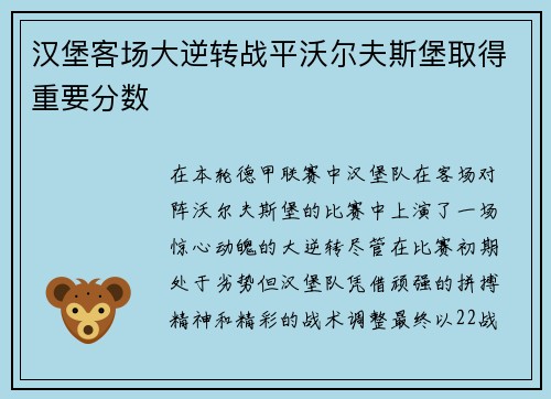 汉堡客场大逆转战平沃尔夫斯堡取得重要分数